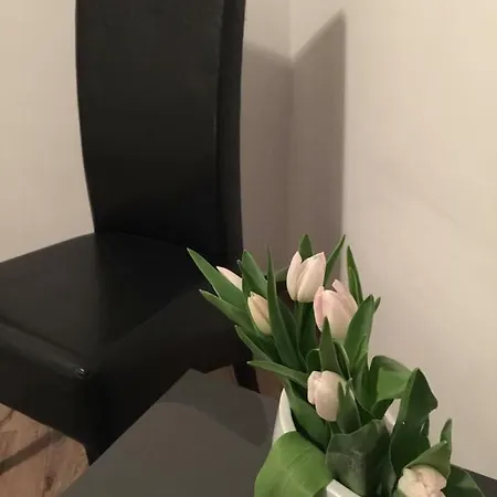 Przy Alei Krakowskiej